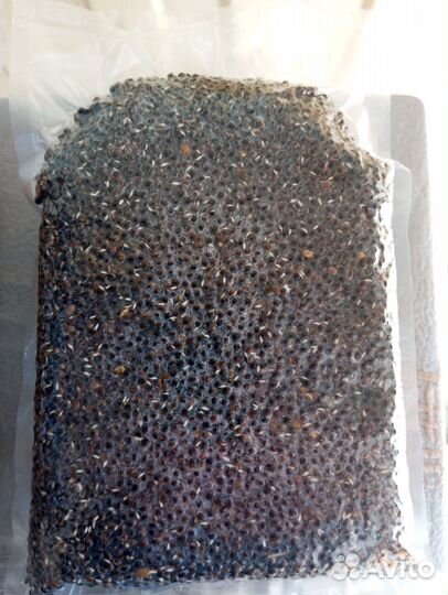 Прикормка зерносмесь