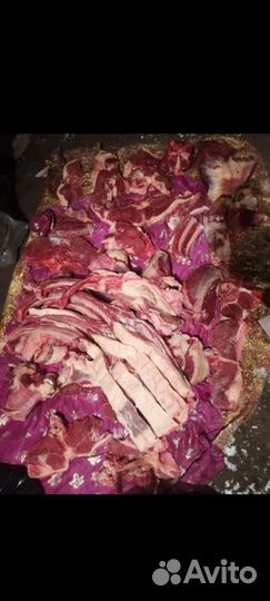 Мясо конина