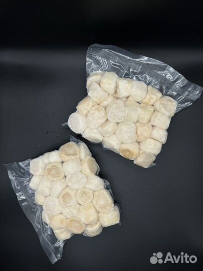 Морской гребешок