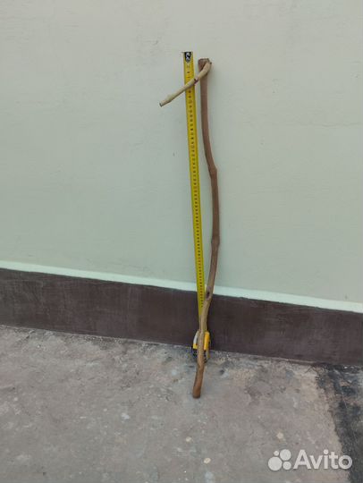 Виноградная лоза, очищенная коряга