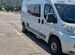 FIAT Ducato 2.3 MT, 2009, 199 000 км с пробегом, цена 4250000 руб.