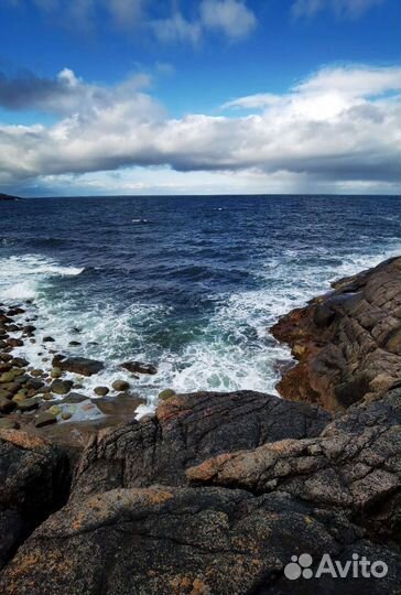Экскурсии в Териберку, трансфер. Северное сияние