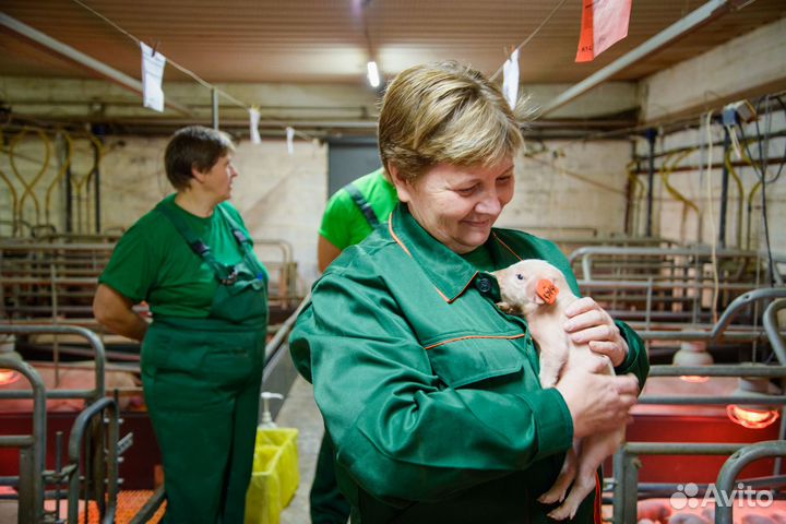 Сотрудник по уходу за животными смена от 8 ч