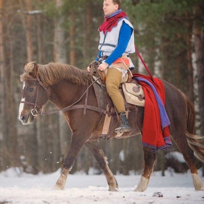 Рыцарское седло