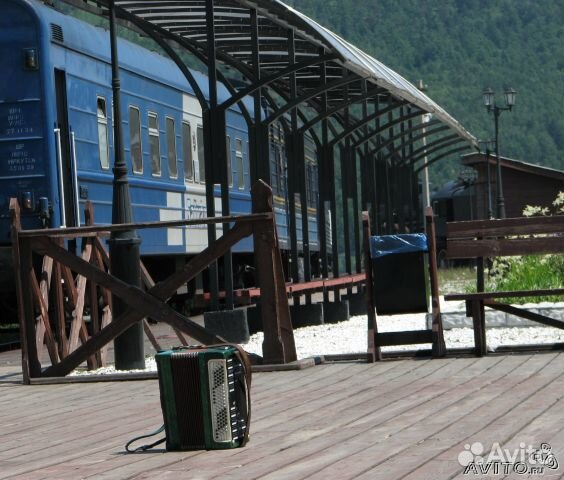 Баянист на праздник