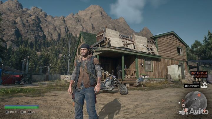 Days Gone (Steam)
