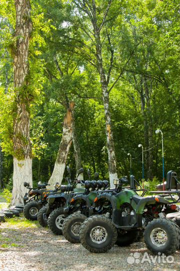 Прокат квадроциклов
