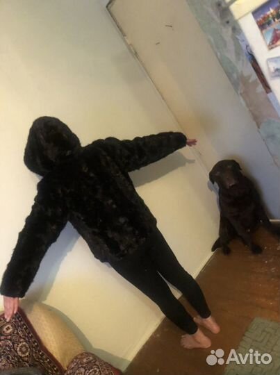 Шуба