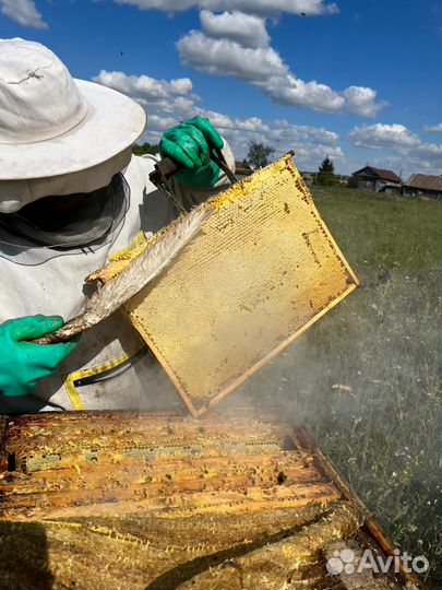 Мёд натуральный