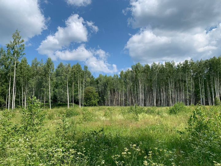 Участок 1,2 га (СНТ, ДНП)