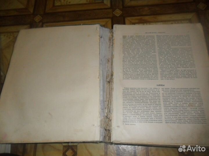 Жизнь животных 1937 год