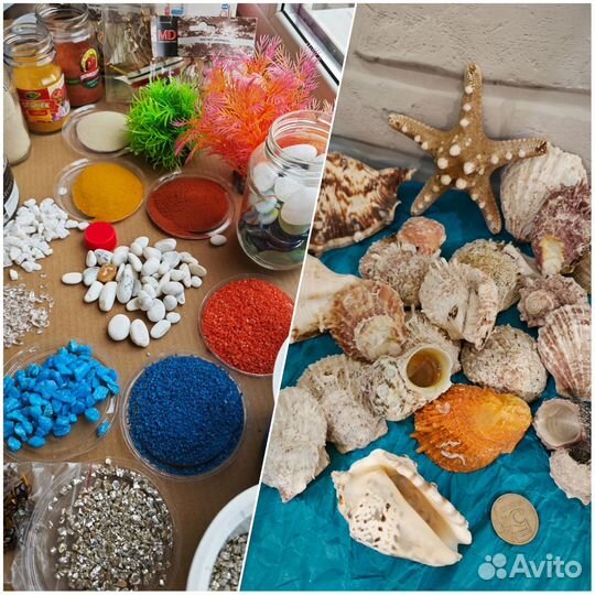 Декор для аквариума, ракушки