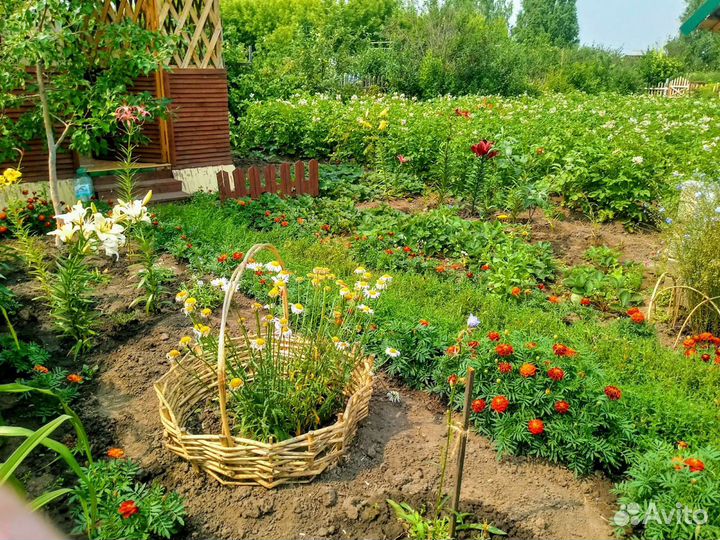 Корзинка для клумбы