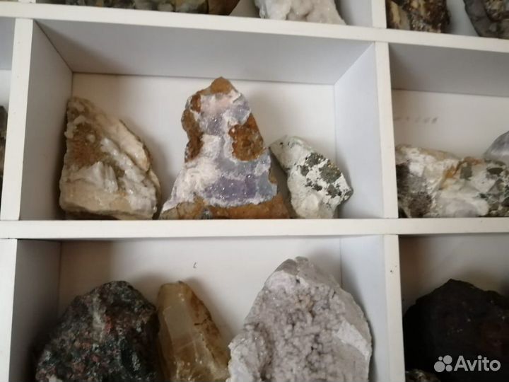 Аммониты Окаменелости Минералы Септарии Кварц
