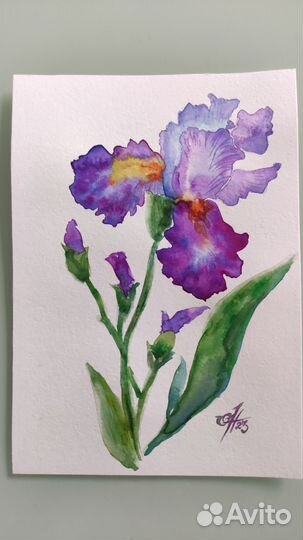 Картина Акварель Ирисы