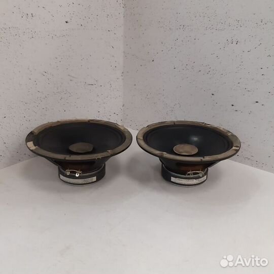 Колонки Avatar BBR-80 (Рассрочка / Э1)