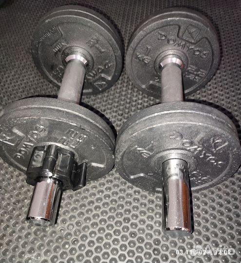 Гантели разборные 10 кг