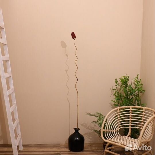 2 шт. Сухоцвет на бамбуковом стебле 150 см фиолето