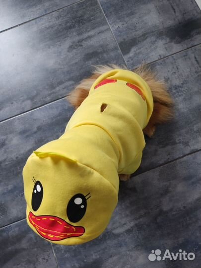 Толстовка для собак