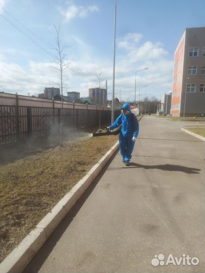 Акарицидная обработка от клещей