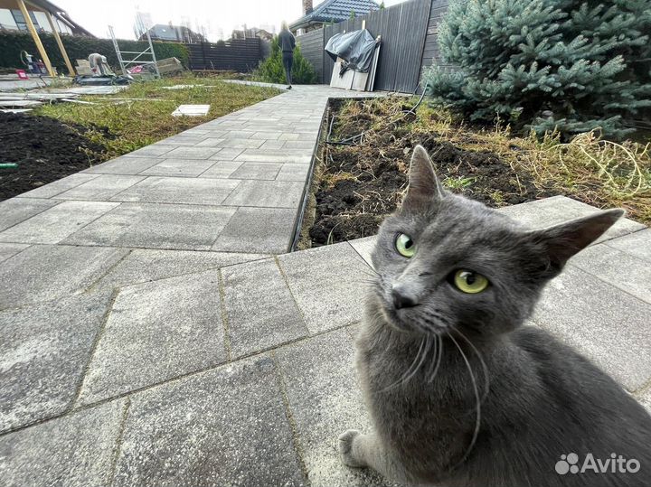 Тротуарная плитка без полной предоплаты