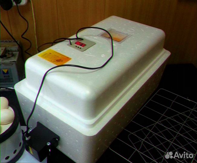 Инкубатор 77