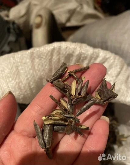 Саган-дайля