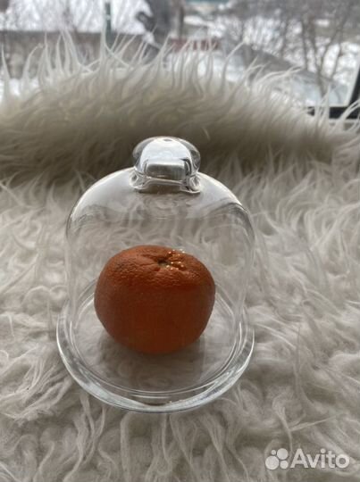 Контейнер для лимона