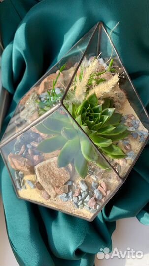 Флорариум с суккулентами, сухоцветами, кактусами