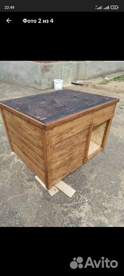 Собачья будка