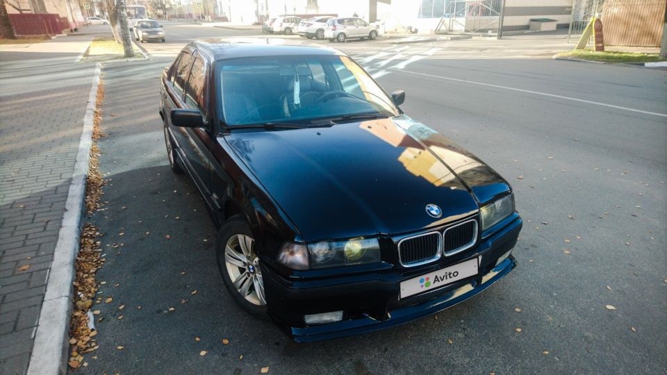 BMW 3 серия: фото владельца