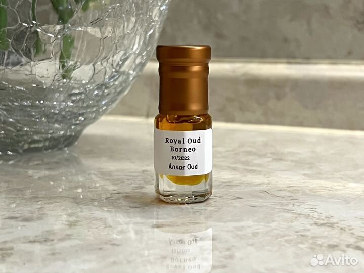 Королевский Уд Борнео (Дикий)