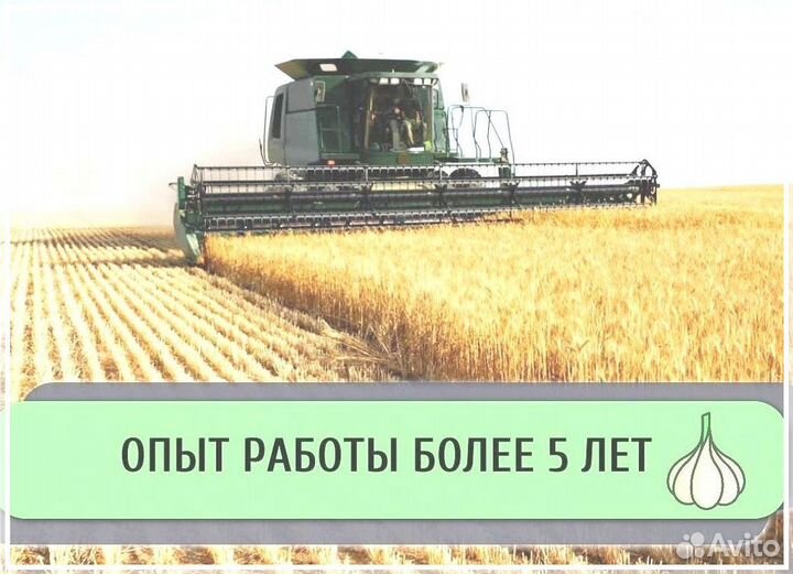 Инвестор/ Пассивный доход до 50%