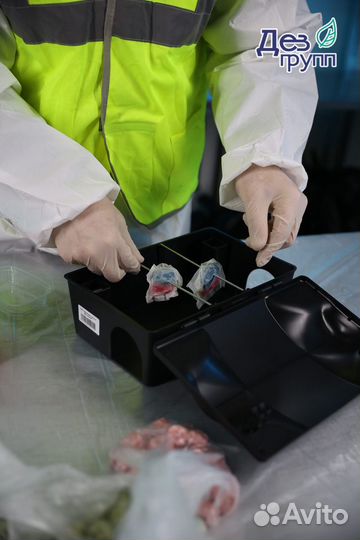 Дезинфекция