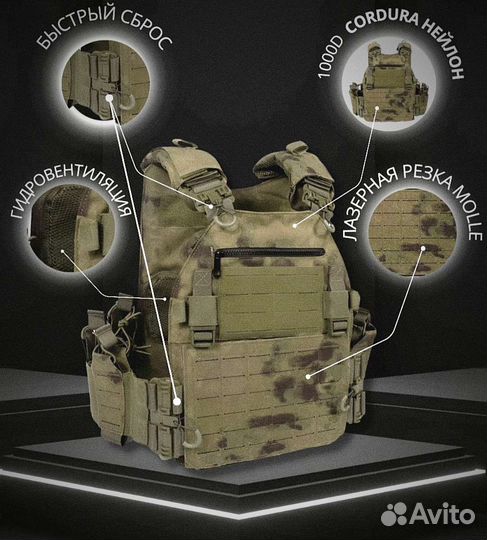 Плитник мох