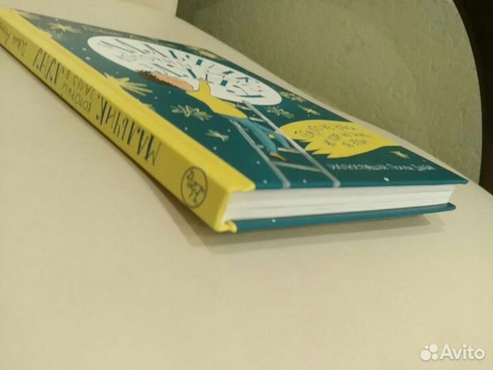 Детская книга мальчик залез в луну Самокат