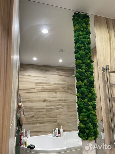 Панели из стабилизированного мха