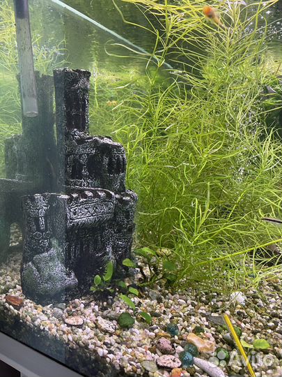 Аквариум 300литров