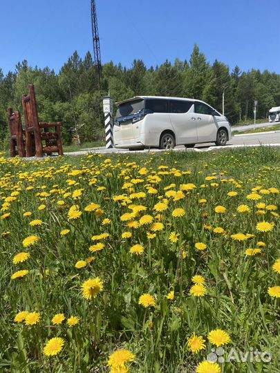 Перегон автомобиля из владивостока