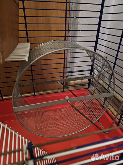 Клетка для шиншиллы