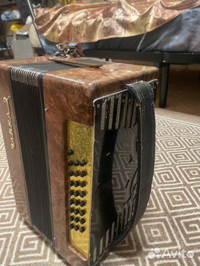 Гармонь чайка 2