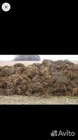 Навоз, Перегной