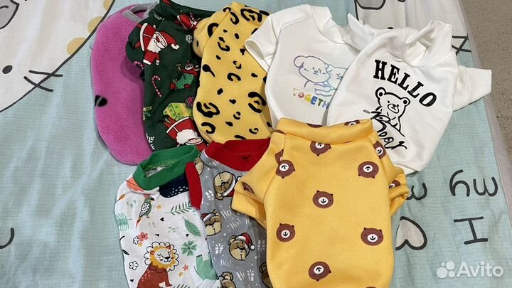 Вещи на собачку мини