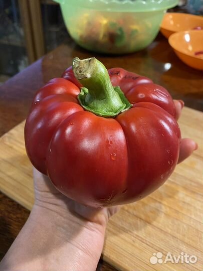 Перец сладкий семена