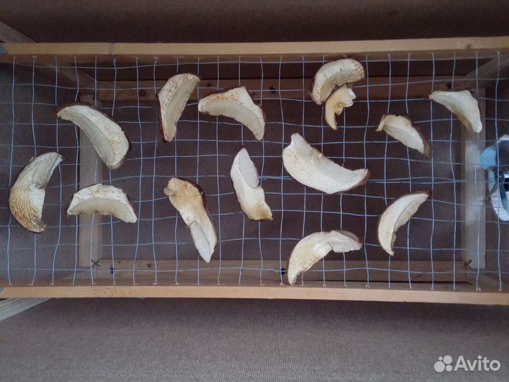 Сушилка для грибов