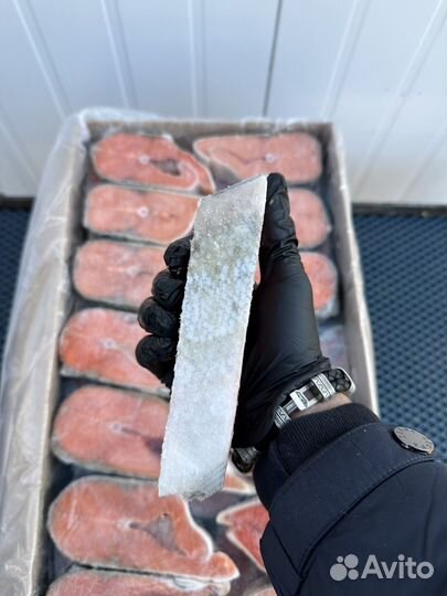 Рыба кижуч стейки