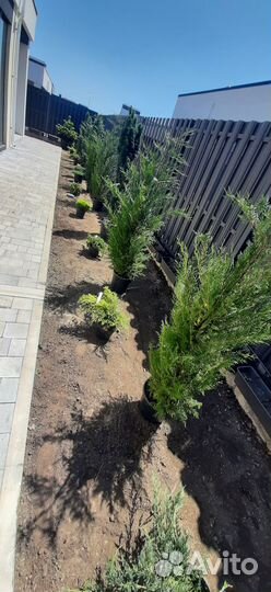 Благоустройство сада/Озеленитель/Садовник