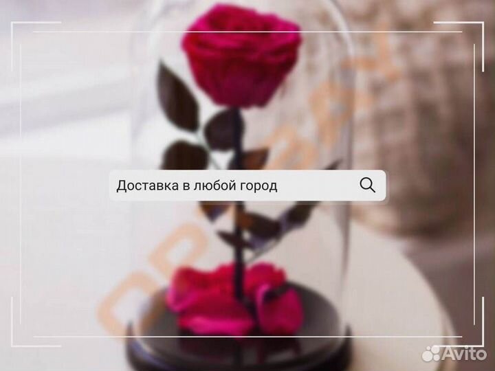 Роза в колбе. От производителя