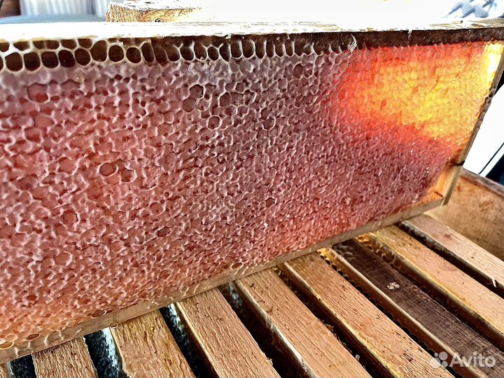 Свежий мёд и мёд в сотах