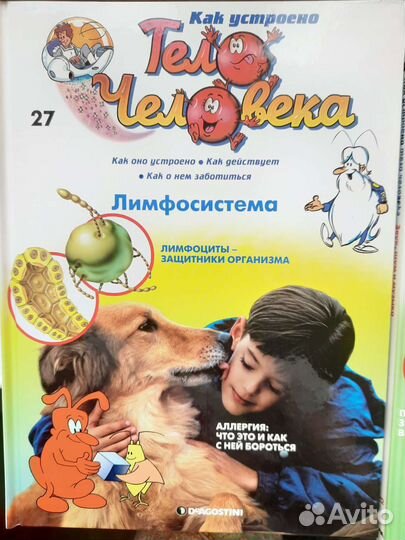 Энциклопедии Тело человека